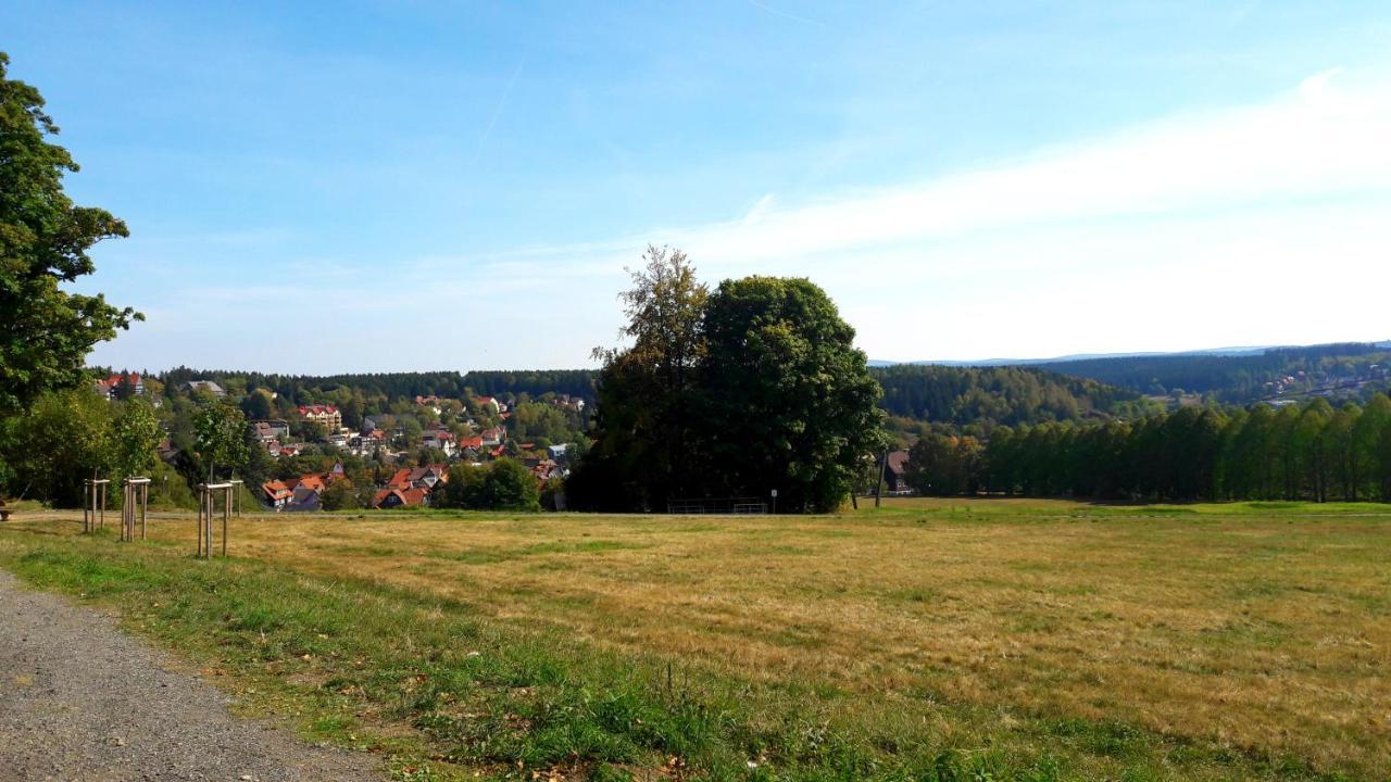 Hotel Garni Am Hochwald Braunlage Zewnętrze zdjęcie