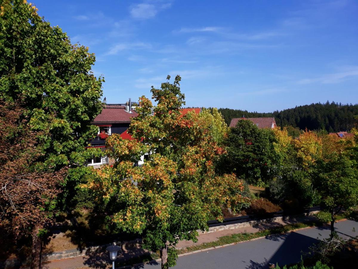 Hotel Garni Am Hochwald Braunlage Zewnętrze zdjęcie