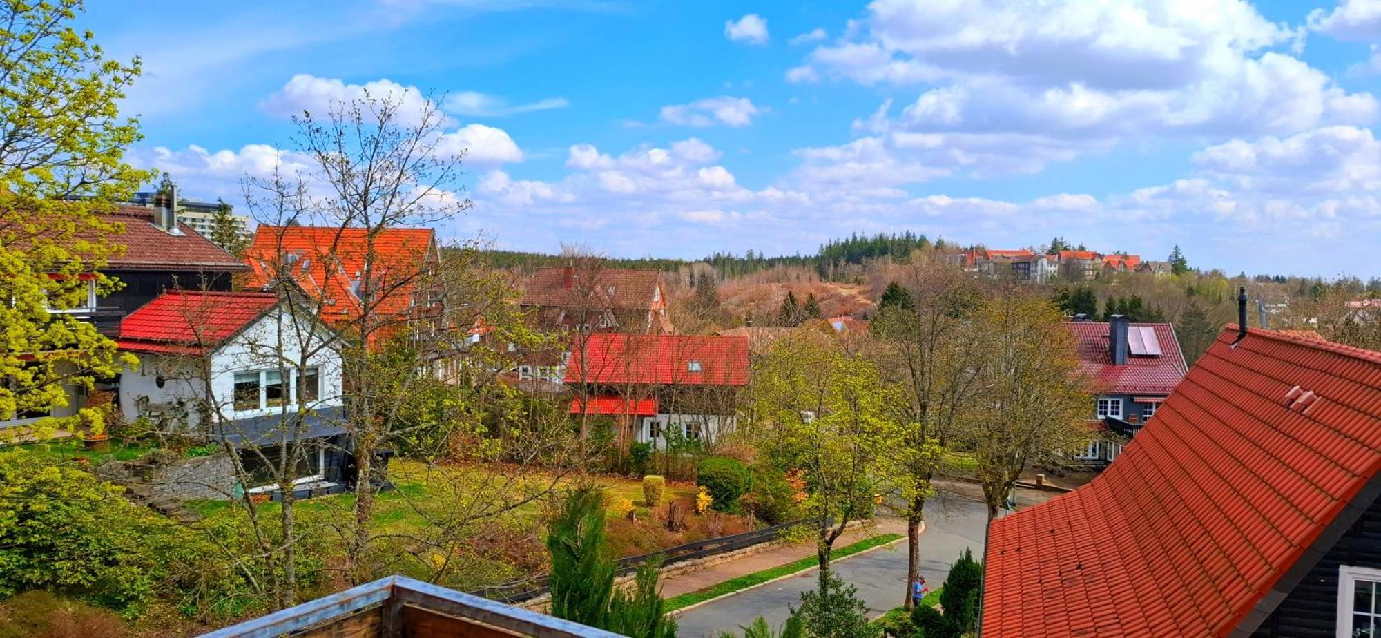 Hotel Garni Am Hochwald Braunlage Pokój zdjęcie